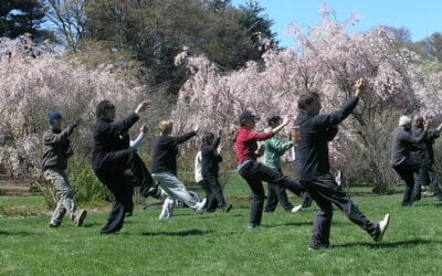 What can you expect from attending a Tai Chi class?