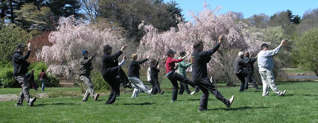 What can you expect from attending a Tai Chi class?